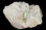 Yellow-Green Fluorapatite Crystal in Calcite - Ontario, Canada #137105-1